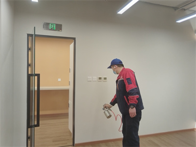 可以自己買甲醛清除劑DIY除甲醛嗎？